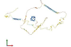 AlphaFold protein structure predicition of Mouse Recombinant Hcls1 Protein, UniprotID P49710