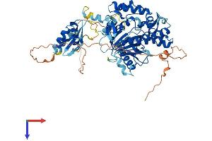 AlphaFold protein structure predicition of Human Recombinant ADAD1 Protein, UniprotID Q96M93