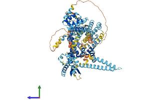 AlphaFold protein structure predicition of Mouse Recombinant Snx25 Protein, UniprotID Q3ZT31