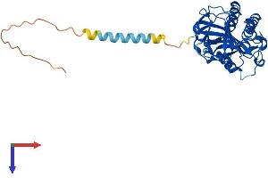AlphaFold protein structure predicition of Mouse Recombinant Ogfod3 Protein, UniprotID Q9D136