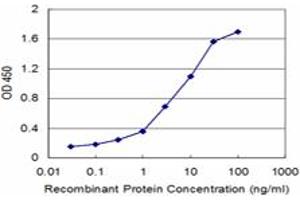 Detection limit for recombinant GST tagged HOXB5 is approximately 0. (HOXB5 anticorps  (AA 170-267))