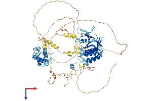 AlphaFold protein structure predicition of Human Recombinant MYSM1 Protein, UniprotID Q5VVJ2