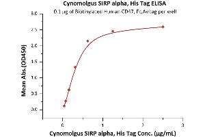 Immobilized Biotinylated Human CD47, Fc,Avitag (ABIN2870532,ABIN2870533) at 1 μg/mL (100 μL/well) on streptavidin precoated (0.
