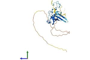 AlphaFold protein structure predicition of Mouse Recombinant Zcchc17 Protein, UniprotID Q9ESX4