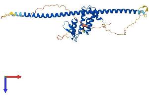 AlphaFold protein structure predicition of Mouse Recombinant Rab3il1 Protein, UniprotID Q8VDV3