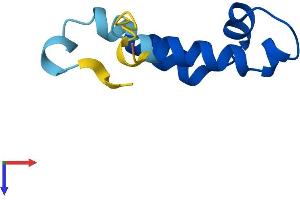 AlphaFold protein structure predicition of Human Recombinant COA5 Protein, UniprotID Q86WW8