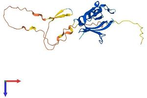 AlphaFold protein structure predicition of Mouse Recombinant Plekhb2 Protein, UniprotID Q9QZC7