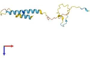AlphaFold protein structure predicition of Mouse Recombinant Pdzk1ip1 Protein, UniprotID Q9CQH0