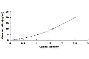 Typical standard curve (BCL9L Kit ELISA)