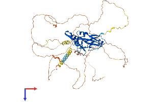 AlphaFold protein structure predicition of Mouse Recombinant Tbx18 Protein, UniprotID Q9EPZ6
