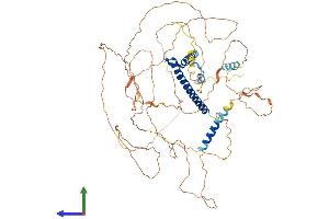 AlphaFold protein structure predicition of Mouse Recombinant Tcf4 Protein, UniprotID Q60722
