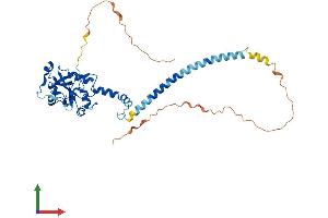 AlphaFold protein structure predicition of Human Recombinant PCYT1A Protein, UniprotID P49585