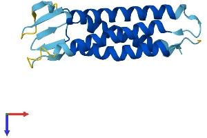 AlphaFold protein structure predicition of Mouse Recombinant Pmp22 Protein, UniprotID P16646