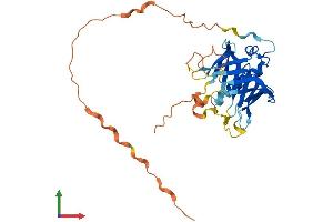 AlphaFold protein structure predicition of Human Recombinant PLSCR3 Protein, UniprotID Q9NRY6