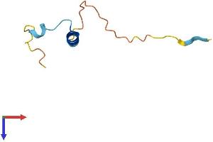 AlphaFold protein structure predicition of Human Recombinant NRGN Protein, UniprotID Q92686