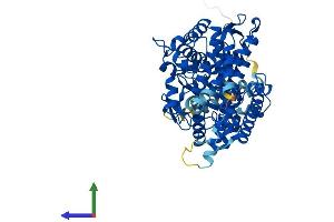 AlphaFold protein structure predicition of Mouse Recombinant Cyp1b1 Protein, UniprotID Q64429