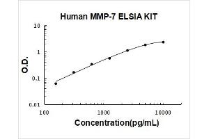 Matrix Metallopeptidase 7 (Matrilysin, Uterine) (MMP7) ELISA Kit