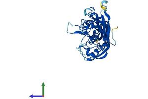 AlphaFold protein structure predicition of Mouse Recombinant Pusl1 Protein, UniprotID A2ADA5