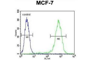 Flow cytometric analysis of MCF-7 cells using LYSMD4 Antibody (N-term) Cat.