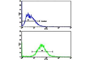 Flow cytometric analysis of HepG2 cells using CCNA2 polyclonal antibody (bottom histogram) compared to a negative control cell (top histogram). (Cyclin A anticorps  (N-Term))