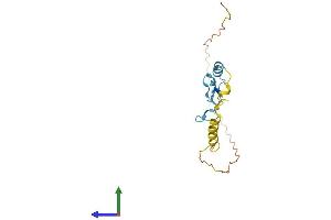 AlphaFold protein structure predicition of Mouse Recombinant Snrnp27 Protein, UniprotID Q8K194