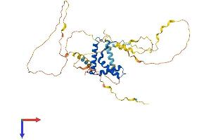 AlphaFold protein structure predicition of Human Recombinant SOX18 Protein, UniprotID P35713