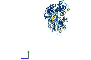 AlphaFold protein structure predicition of Human Recombinant SLC17A5 Protein, UniprotID Q9NRA2