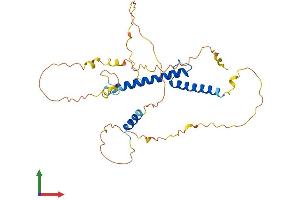 AlphaFold protein structure predicition of Mouse Recombinant Myod1 Protein, UniprotID P10085