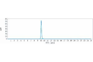 anti-PDCD1 (Camrelizumab Biosimilar) antibody