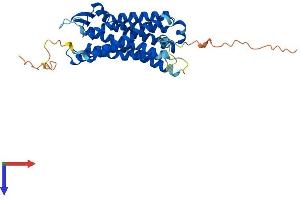 AlphaFold protein structure predicition of Mouse Recombinant C5ar1 Protein, UniprotID P30993