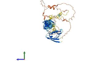 AlphaFold protein structure predicition of Human Recombinant PDLIM7 Protein, UniprotID Q9NR12