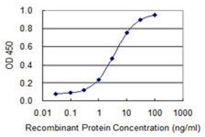 Detection limit for recombinant GST tagged AHCYL1 is 0. (AHCYL1 anticorps  (AA 1-101))