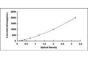Neuritin 1 (NRN1) ELISA Kit