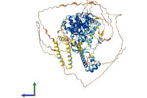 AlphaFold protein structure predicition of Human Recombinant SEC23IP Protein, UniprotID Q9Y6Y8