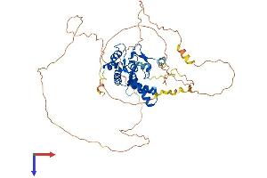 AlphaFold protein structure predicition of Human Recombinant NFIX Protein, UniprotID Q14938