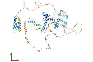 AlphaFold protein structure predicition of Human Recombinant ZBTB48 Protein, UniprotID P10074