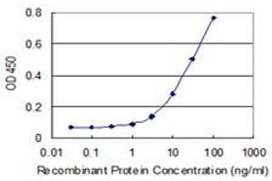 Detection limit for recombinant GST tagged IDI2 is 1 ng/ml as a capture antibody. (IPP Isomerase 2 anticorps  (AA 1-227))
