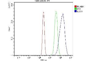 Flow Cytometry analysis of HL-60 cells using anti-EDC4 antibody (ABIN7599694).