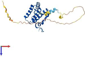 AlphaFold protein structure predicition of Human Recombinant GFER Protein, UniprotID P55789