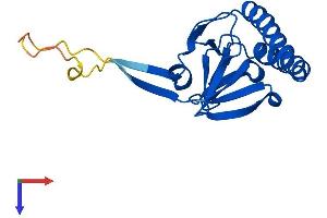 AlphaFold protein structure predicition of Human Recombinant TPT1 Protein, UniprotID P13693