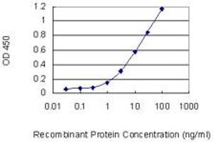 Detection limit for recombinant GST tagged MTHFD1L is 0.
