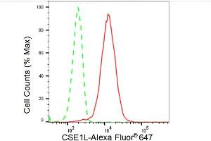 Flow cytometric analysis of CSE1L expression in HeLa cells using CSE1L antibody (ABIN7798172), 1:2,000).