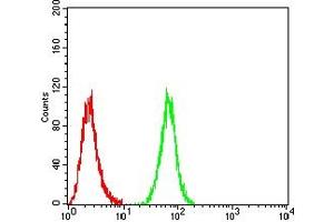 Flow cytometric analysis of Hela cells using MUC5AC mouse mAb (green) and negative control (red).
