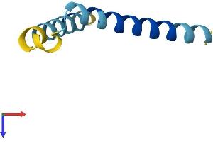 AlphaFold protein structure predicition of Mouse Recombinant Serf1 Protein, UniprotID O88892