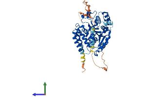 AlphaFold protein structure predicition of Mouse Recombinant Gxylt2 Protein, UniprotID Q810K9