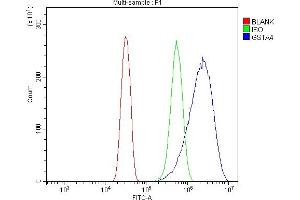 Flow Cytometry analysis of U20S cells using anti-GSTA4 antibody (ABIN7601113).