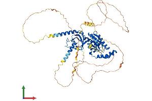 AlphaFold protein structure predicition of Mouse Recombinant Cacnb1 Protein, UniprotID Q8R3Z5