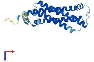 AlphaFold protein structure predicition of Human Recombinant TMEM126A Protein, UniprotID Q9H061