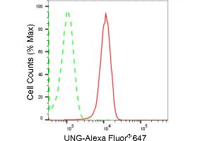 Flow cytometric analysis of UNG expression in HepG2 cells using UNG antibody (ABIN7800773), 1:2,000).