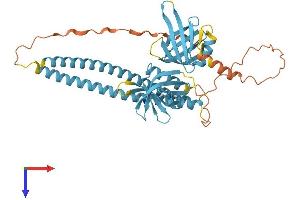 AlphaFold protein structure predicition of Mouse Recombinant Snap47 Protein, UniprotID Q8R570